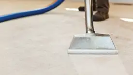 Carpet cleaning wand head gliding over a light carpet during hot-water extraction, Worcester, MA.
