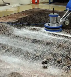 Professional rug cleaning with a rotary floor machine and shampoo foam, deep-cleaning an area rug Worcester, MA.